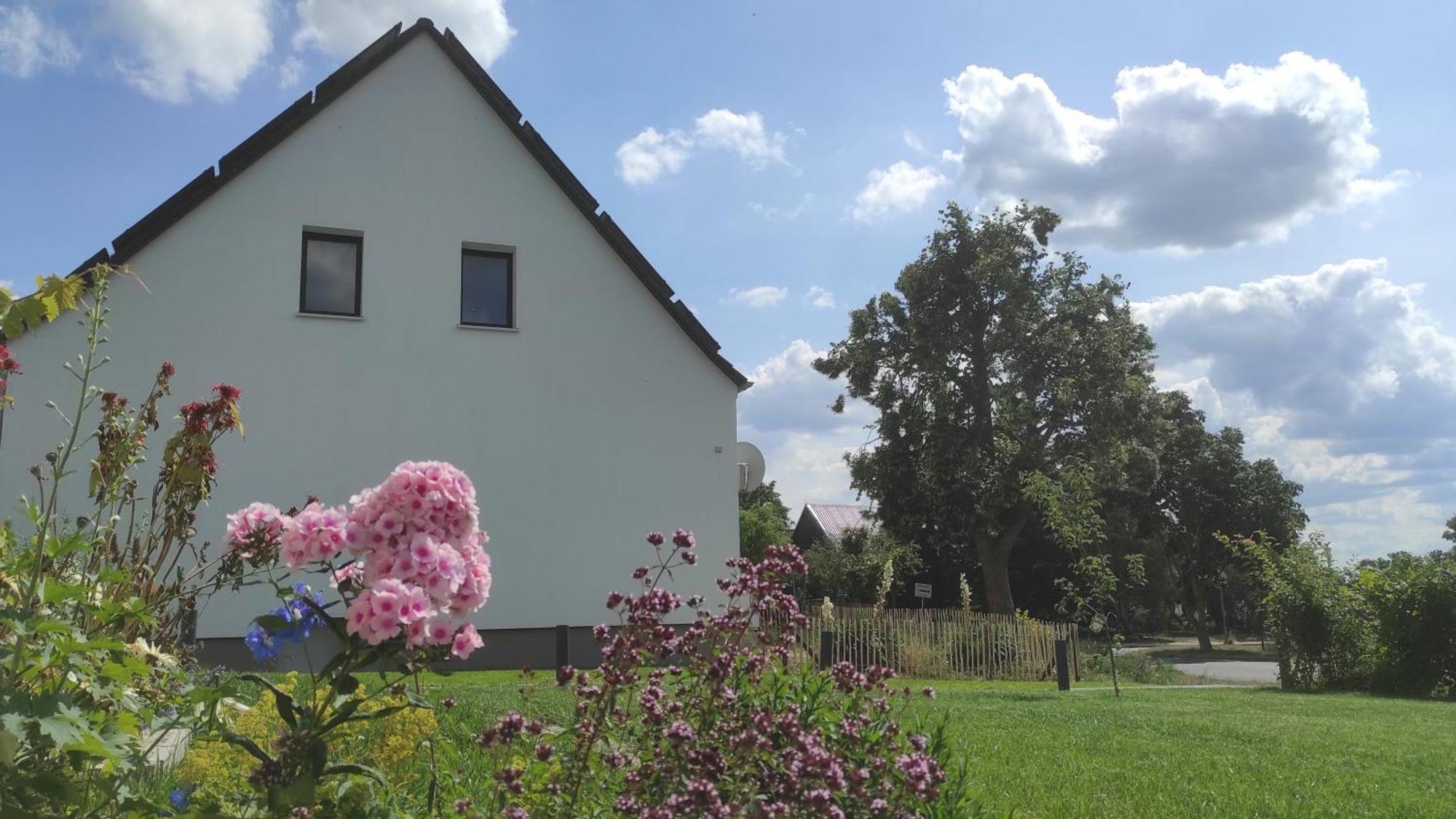 Storchennest - Ferienwohnung Am Storchenradweg Ketzür Esterno foto