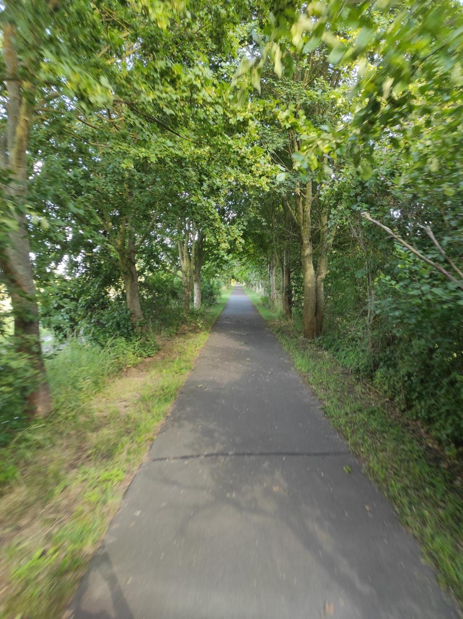Storchennest - Ferienwohnung Am Storchenradweg Ketzür Esterno foto